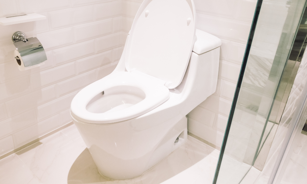 7 Best One-Piece Toilets 14 one piece toilet closeup